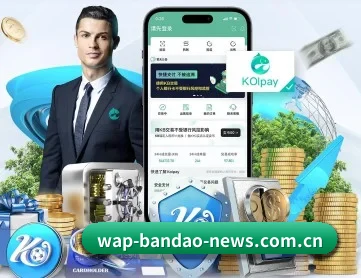 半岛体app官网登录入口 APP 深度功能
