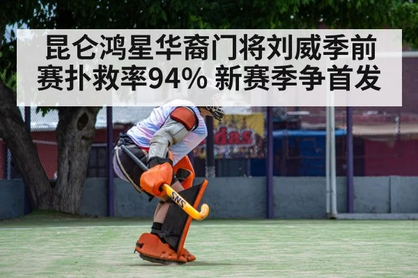 hockey goalkeeper save