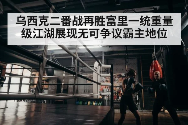 boxer training