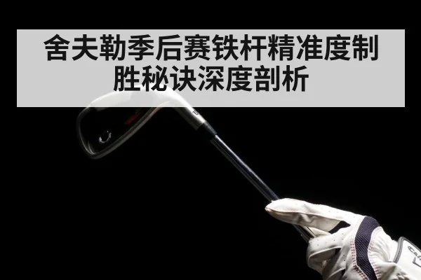舍夫勒季后赛铁杆精准度制胜秘诀深度剖析